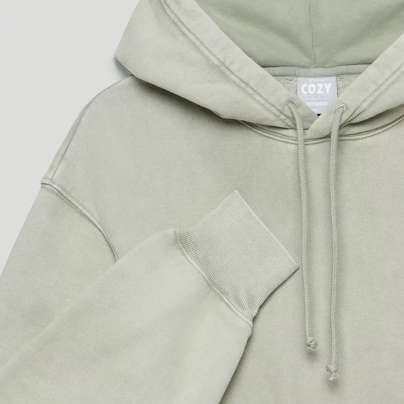 Aritzia TNA Cozy Fleece Boyfriend hoodie in colour Storm Dusky Green - Picture 5 of 5